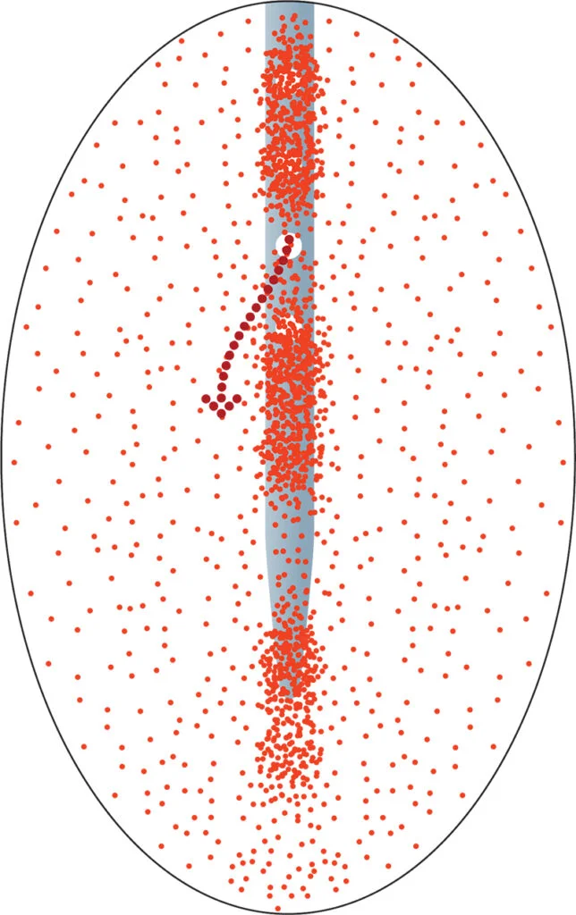 Published comparison of vascular graft development samples